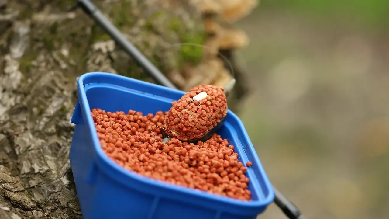 Niebieskie pudełko z zanętami Lorpio feeder, gotowe do akcji. Wędka w tle.
