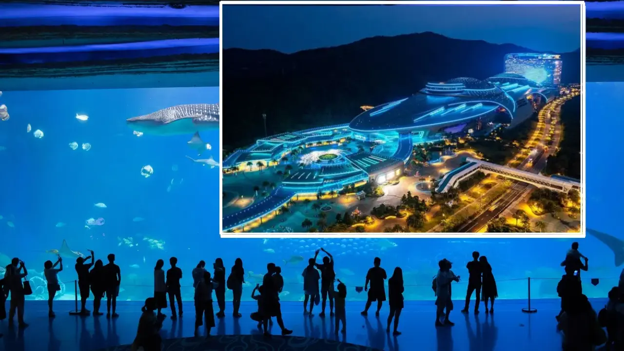 Największe oceanarium świata: Chimelong Ocean Kingdom czy warto?