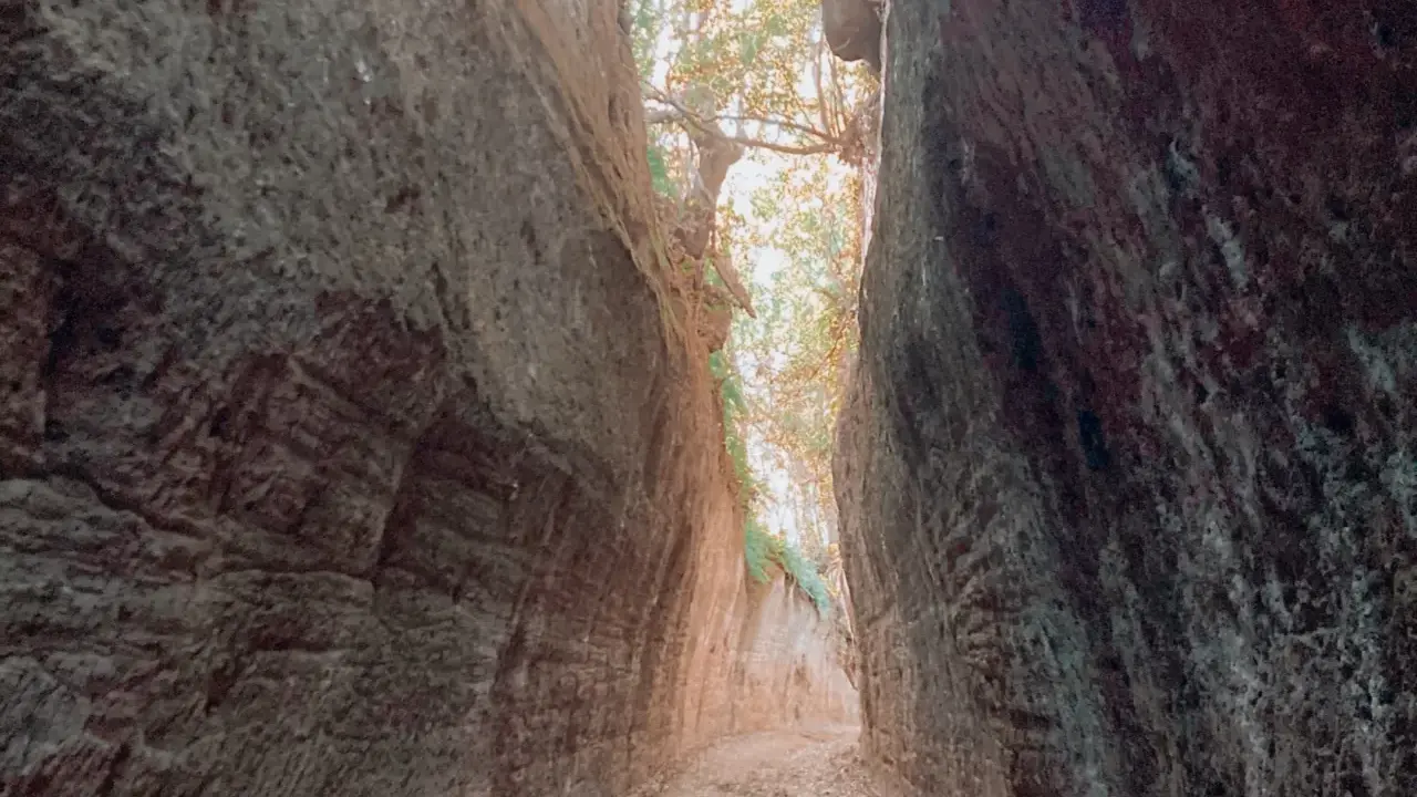 Sentiero scavato nella roccia, con alberi e luce che filtrano dall'alto. Un luogo suggestivo, dove la natura mostra cosa vedere.