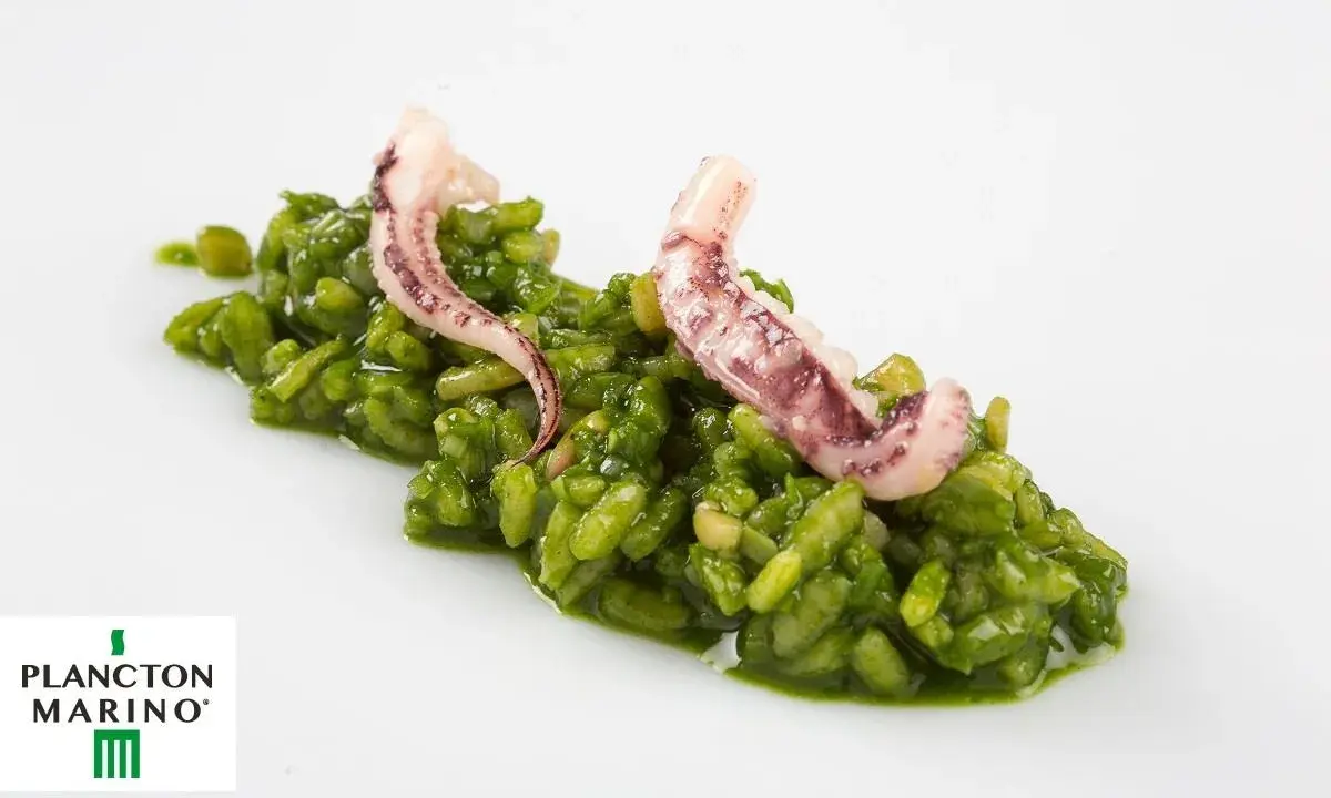 Arroz verde vibrante con tentáculos de calamar, inspirado en el plancton marino. Un plato que evoca la fuerza del león marino.