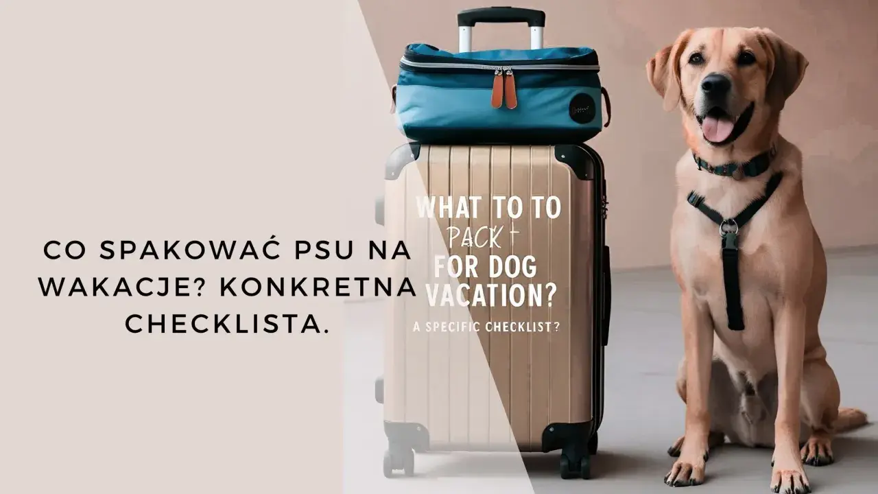Uśmiechnięty piesek obok walizki i torby podróżnej. Czas na wakacje z psem! Sprawdź, co spakować.