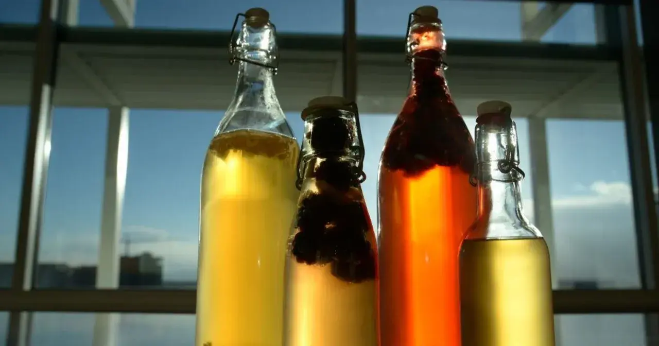 Cztery butelki z napojem, w tym jedna z ciemnymi owocami. To domowa kombucha co to jest? Napój fermentowany, zdrowy i pyszny.
