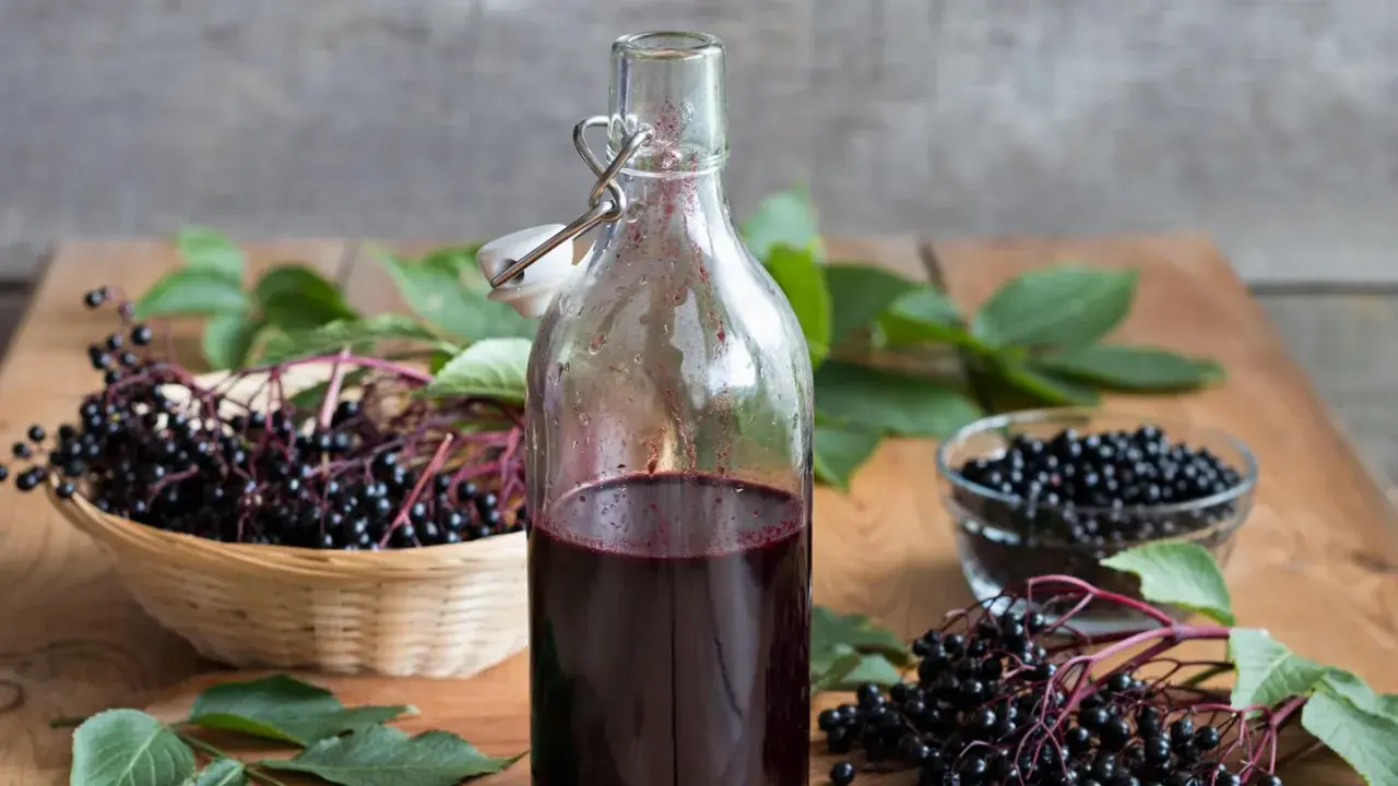 Flasche mit dunklem Saft, daneben Körbchen und Schale mit Holunderbeeren. Achtung: Holunderbeeren giftig!