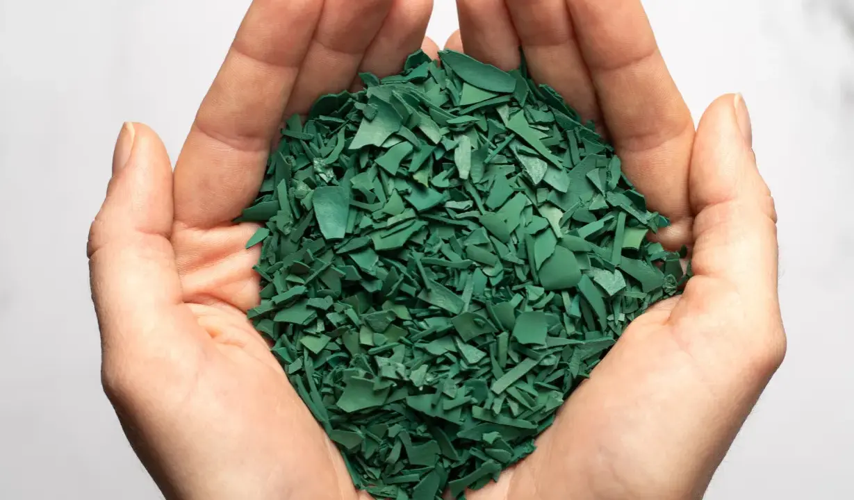 Mains tenant une poignée de paillettes vertes, résultat d'une spiruline culture.