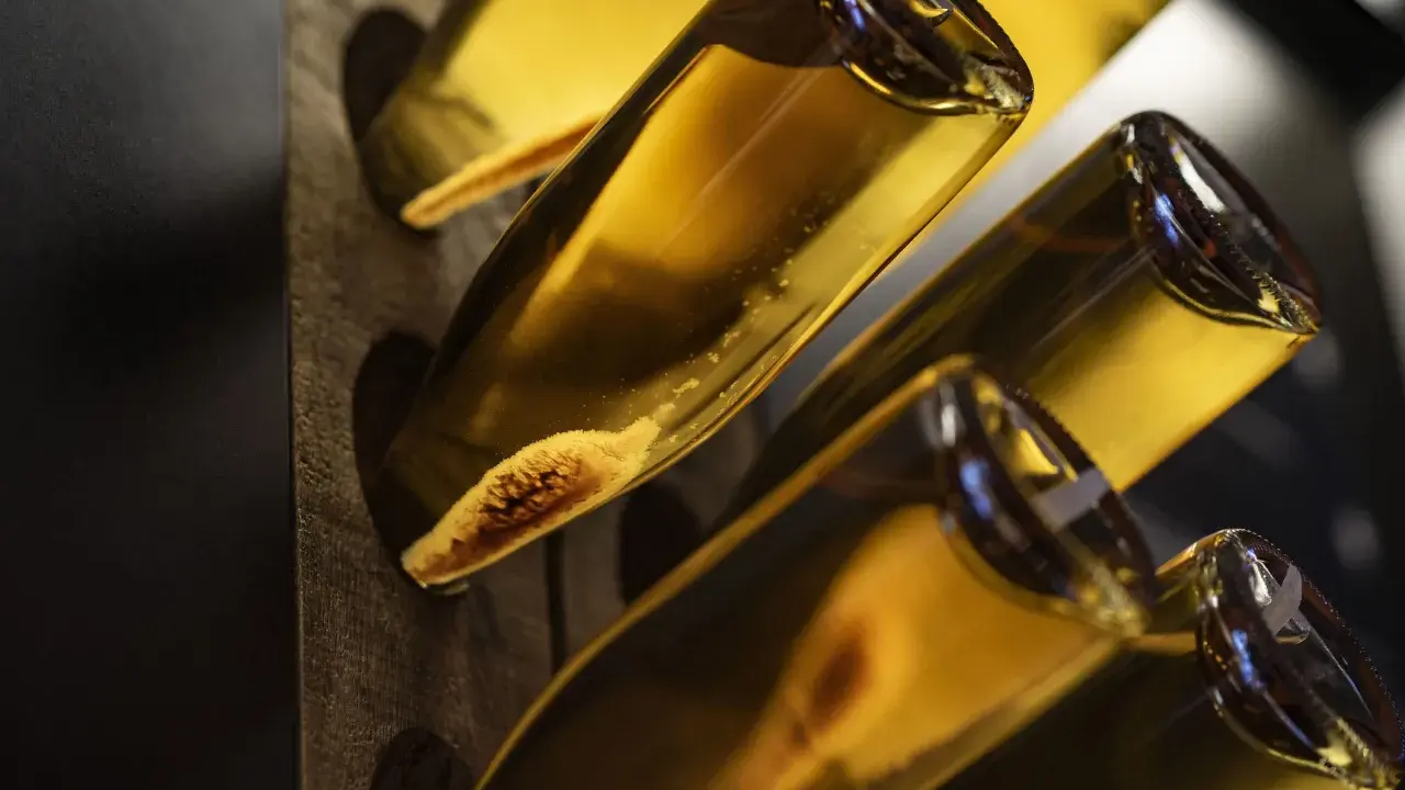 Flaschen mit Hefeablagerungen, bereit zum Degorgieren. Der Prozess des Degorgierens entfernt unerwünschte Sedimente aus Schaumwein.