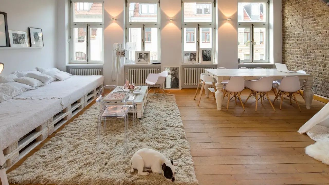 Un soggiorno luminoso con arredamento bianco e legno, un divano letto, un tavolino e un cane che riposa su un tappeto soffice.