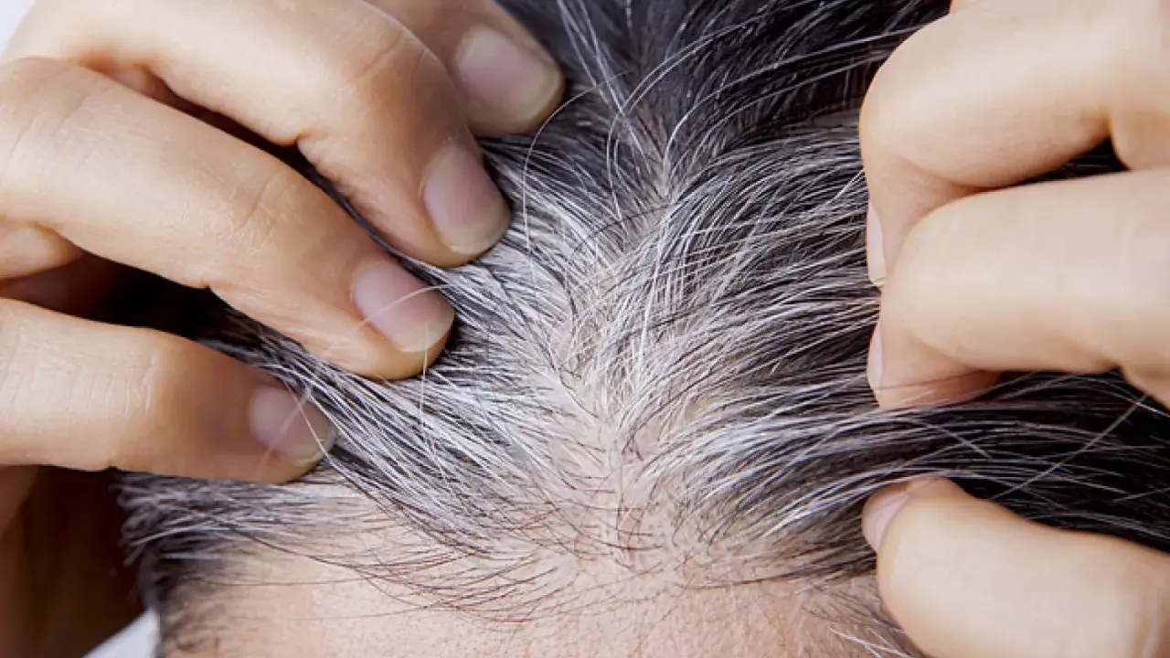 Manos separando cabello oscuro con canas plateadas, buscando cómo cubrir canas sin tinte.