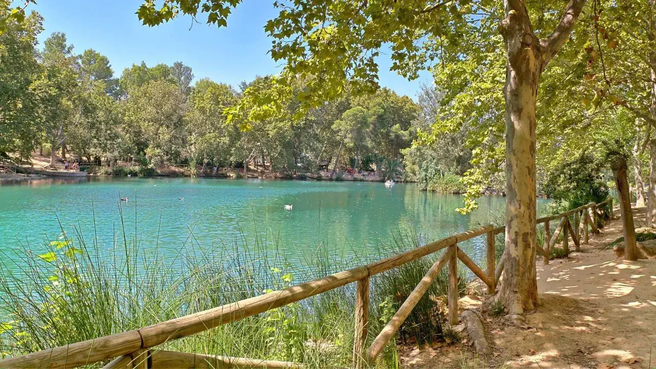 La albufera de Anna, con su agua turquesa y rodeada de árboles frondosos, invita a un paseo tranquilo. Patos nadan en la superficie.