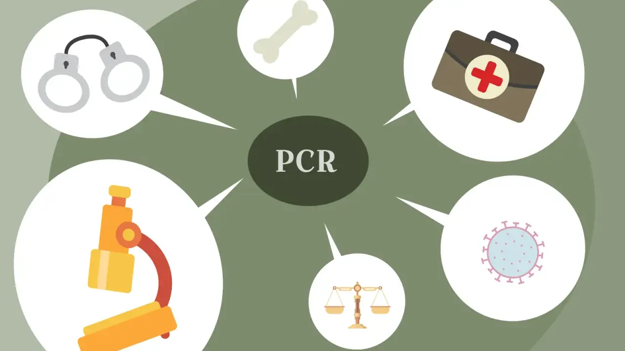 Diagrama sobre PCR en medicina: microscopio, hueso, botiquín, virus, balanza y esposas.