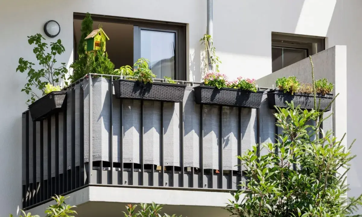 Balcone condominio con fioriere e telo grigio per creare idee privacy. Un nido per uccelli decora la vegetazione.