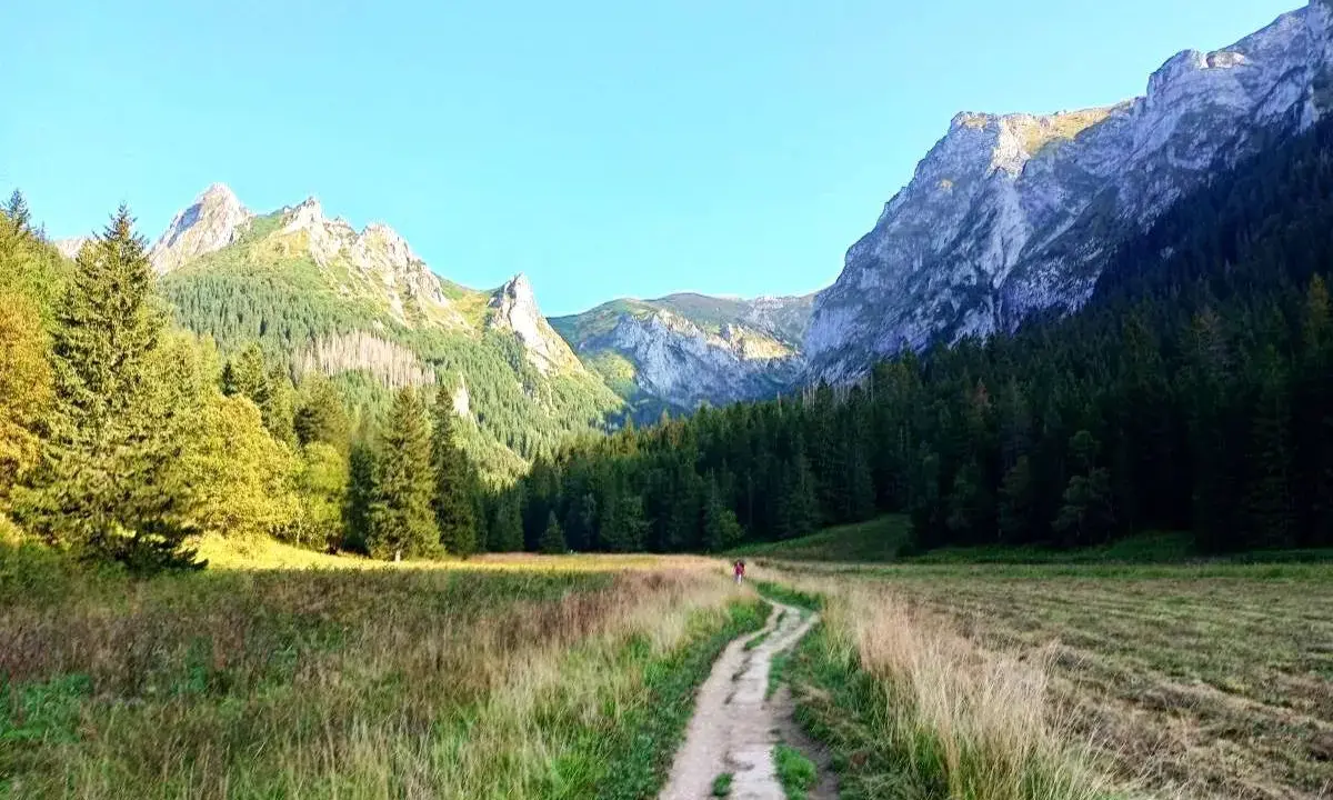 Ścieżka wije się przez dolinę małej łąki, otoczoną lasem i skalistymi szczytami.