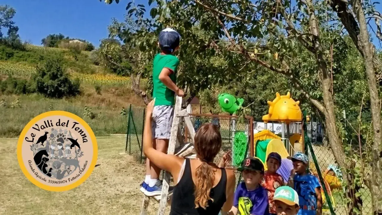 Bambini partecipano a un'attività fattoria didattica, raccogliendo frutti da un albero.