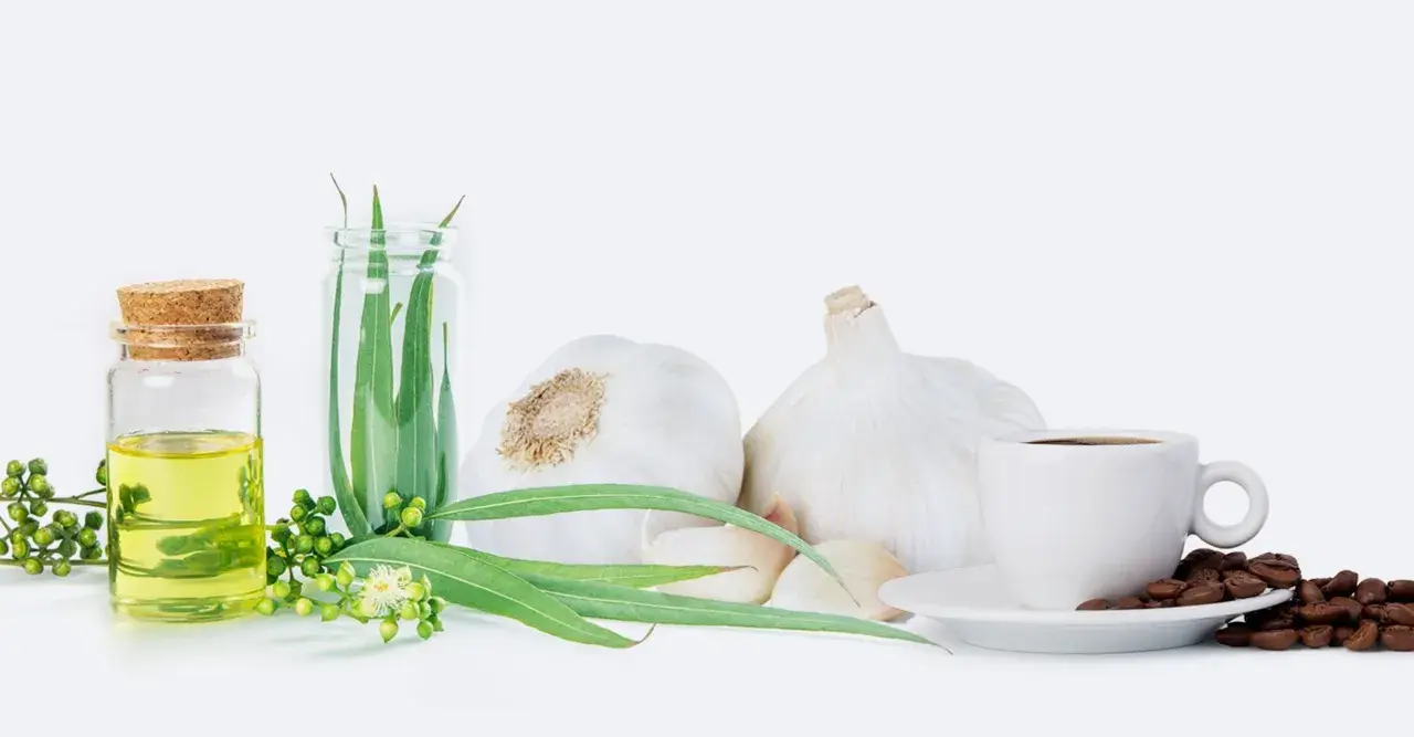 Knoblauch, Kaffee und Eukalyptusöl – natürliche Helfer für Asthma Hausmittel.