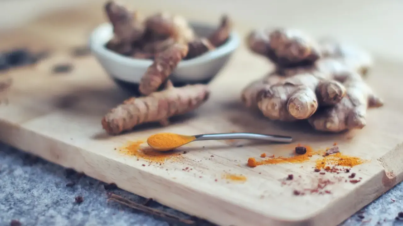 Curcuma fraîche et en poudre sur une cuillère, prête pour le dosage. Idéal pour le bien-être de votre chien.