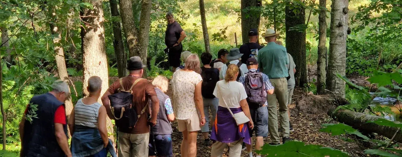 En grupp människor njuter av vandringens dag i en lummig skog.