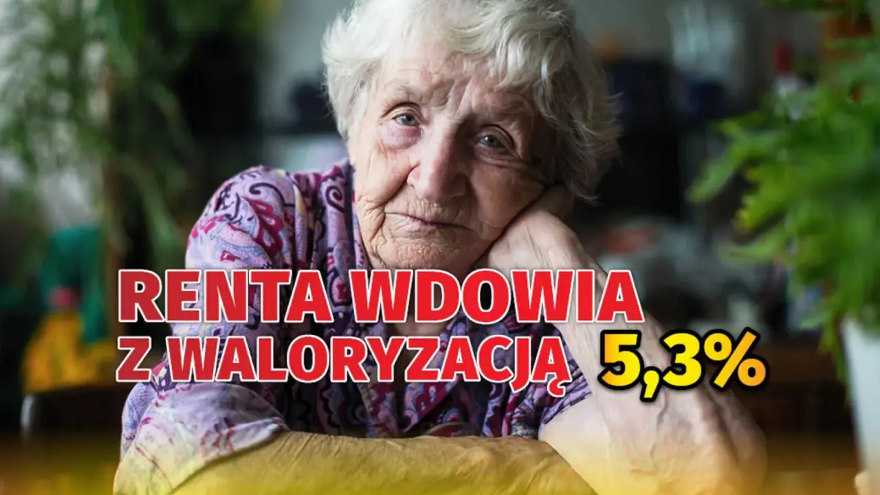 Starsza kobieta z zamyśloną miną. Napis: "RENTA WDOWIA Z WALORYZACJĄ 5,3%". Ile netto?