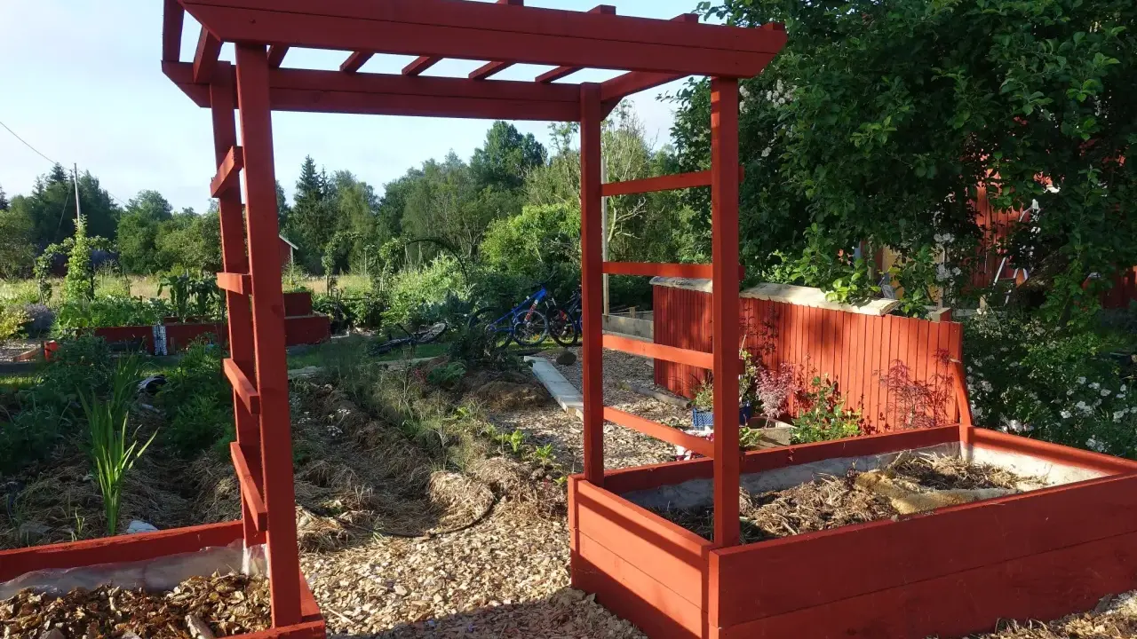 A red wooden pergola frame stands in a garden with raised beds and greenery.