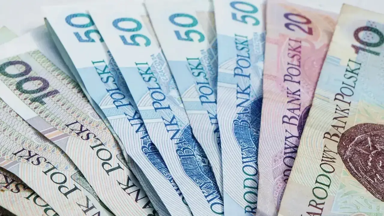 Polskie banknoty 10, 20, 50 i 100 zł. Zastanawiasz się, jaka jest najniższa krajowa na godzinę?