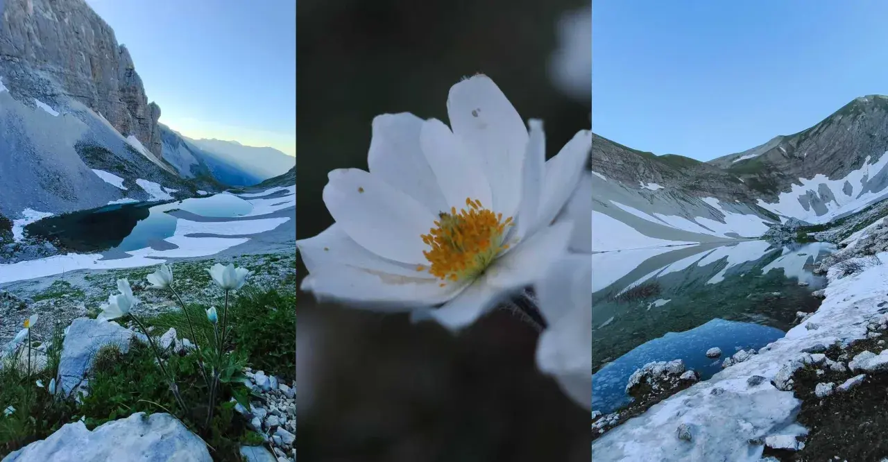 Fiori bianchi e laghi glaciali nei Monti Sibillini: cosa vedere in questo paesaggio incantato.