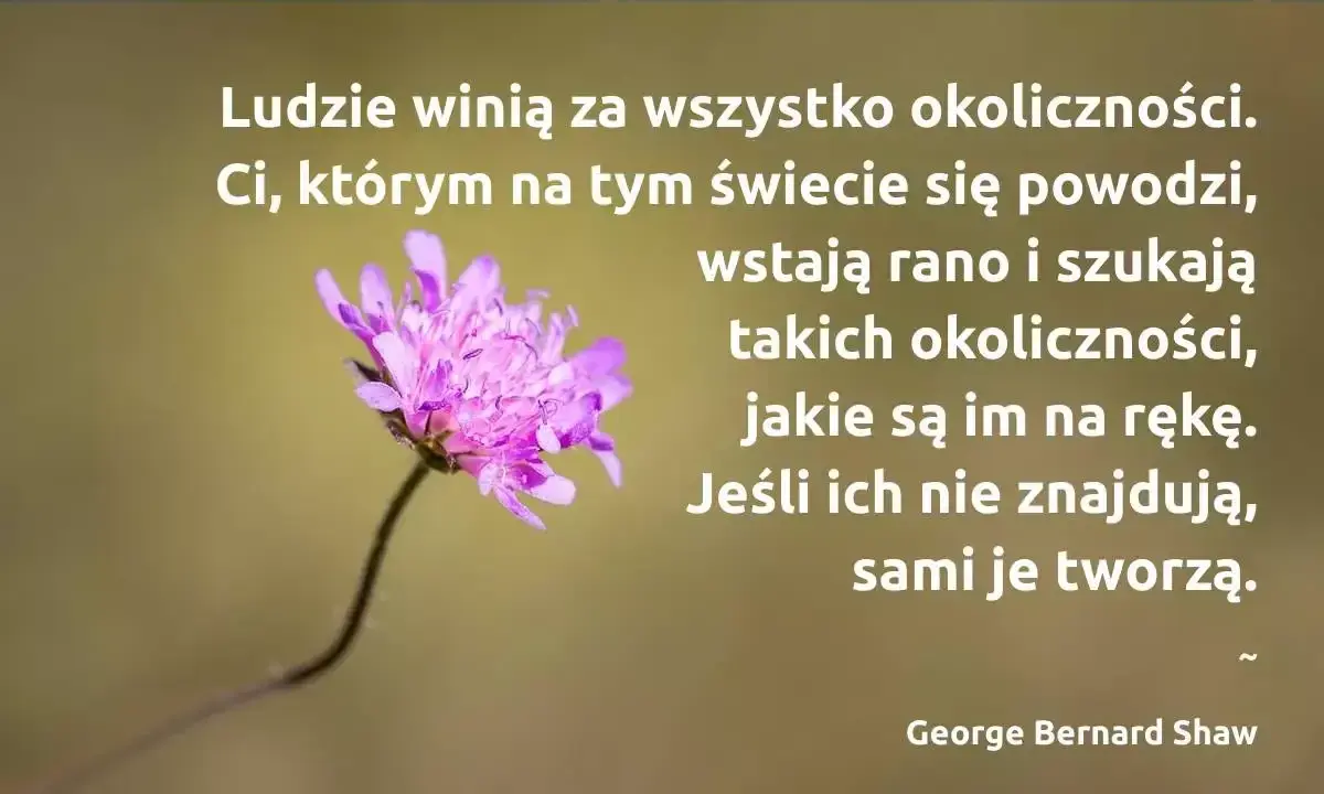 Kto rano wstaje cytaty: Czy to prawda? Inspiracja i humor