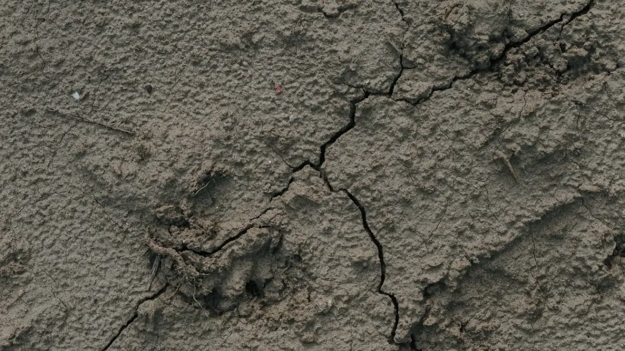 Torr, sprucken lera som ser ut att torka i ugn. Det finns en liten virvel av lera och några små stenar.