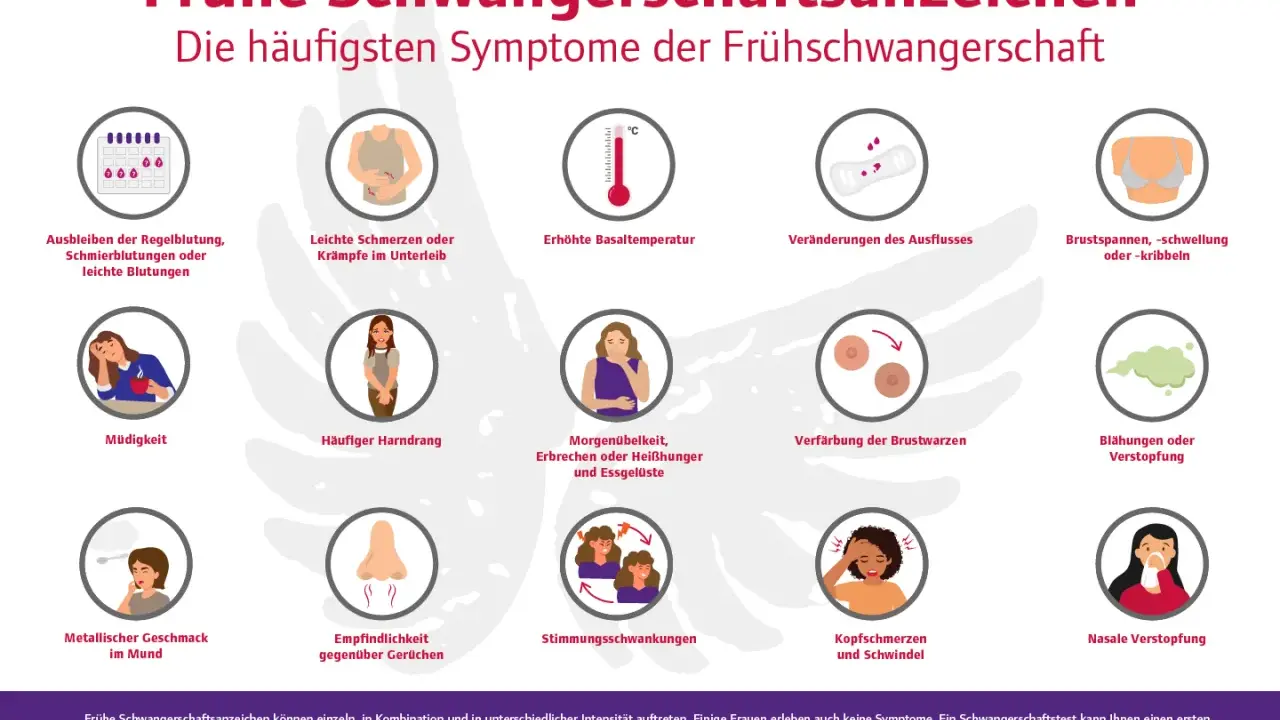 Frühe Schwangerschaftssymptome ab wann? Die Grafik zeigt häufige Anzeichen wie ausbleibende Periode, Müdigkeit, Übelkeit, Brustveränderungen und Stimmungsschwankungen.