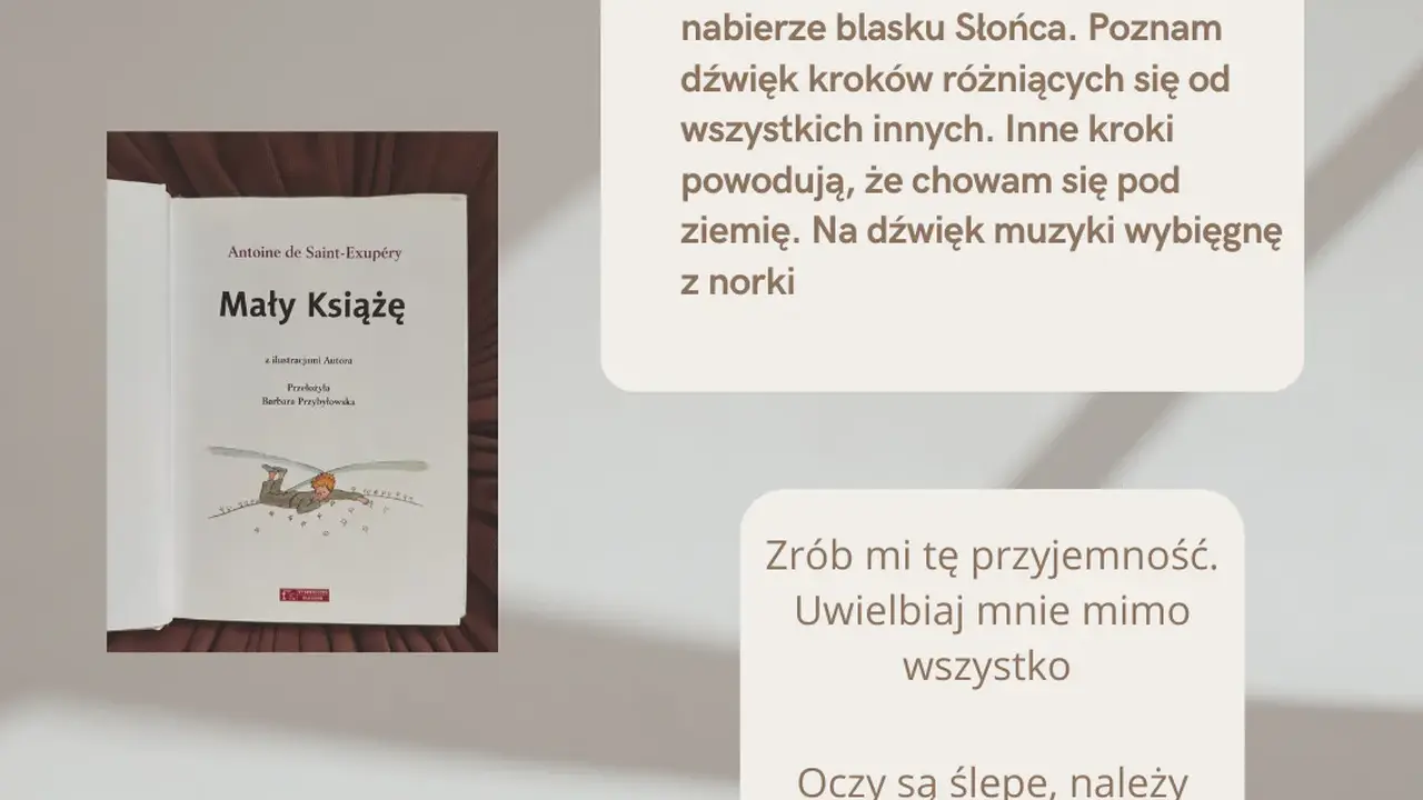 Okładka książki "Mały Książę" z cytatami z powieści.