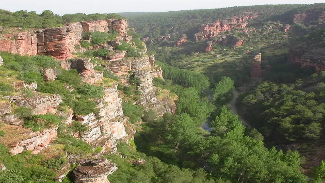 Impresionante cañón con formaciones rocosas rojizas y vegetación frondosa, típico de las áreas protegidas de Castilla-La Mancha.