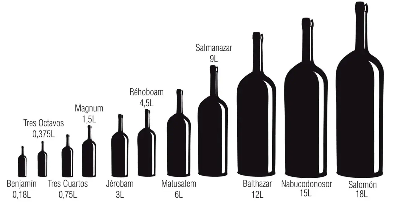 Ilustración muestra cuánto mide una botella de vino, desde Benjamín (0,18L) hasta Salomón (18L), con tamaños intermedios como Magnum (1,5L) y Réhoboam (4,5L).