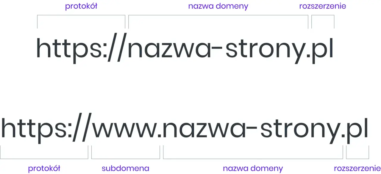 Domena internetowa: Co to jest? Jak wybrać i dlaczego jest kluczowa?