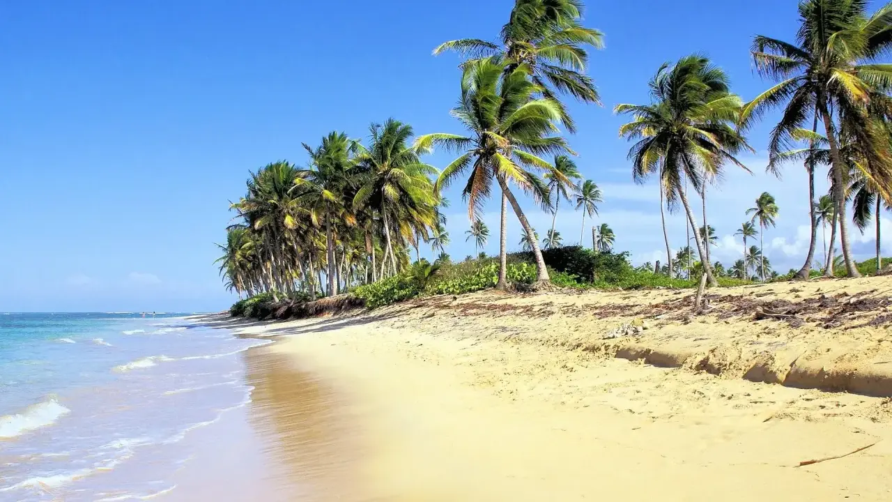 Playa paradisíaca en República Dominicana con niños jugando entre palmeras.