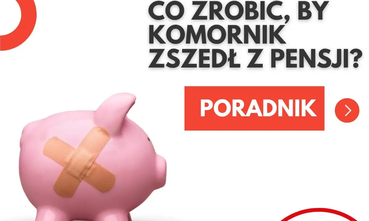 Różowa świnka-skarbonka z plastrem na boku symbolizuje ochronę przed jednoczesnym zajęciem konta i wynagrodzenia.