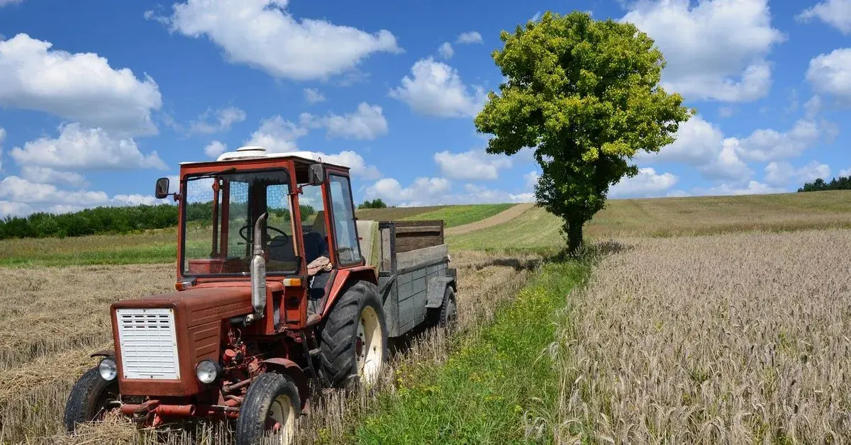 Praca w gospodarstwie rolnym do stażu? Zyskaj urlop i emeryturę!