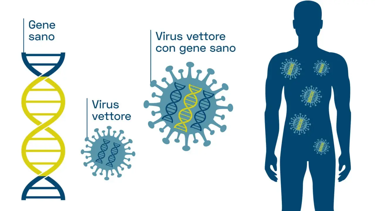 Illustrazione del processo di terapia genica: un gene sano viene inserito in un virus vettore, che poi entra in un corpo umano per correggere difetti genetici.