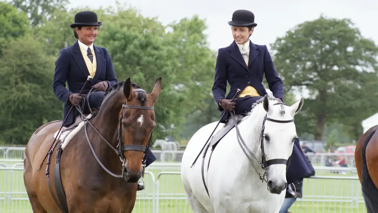 Zwei Reiterinnen im Damensattel, elegant gekleidet, reiten auf braunen und weißen Pferden.