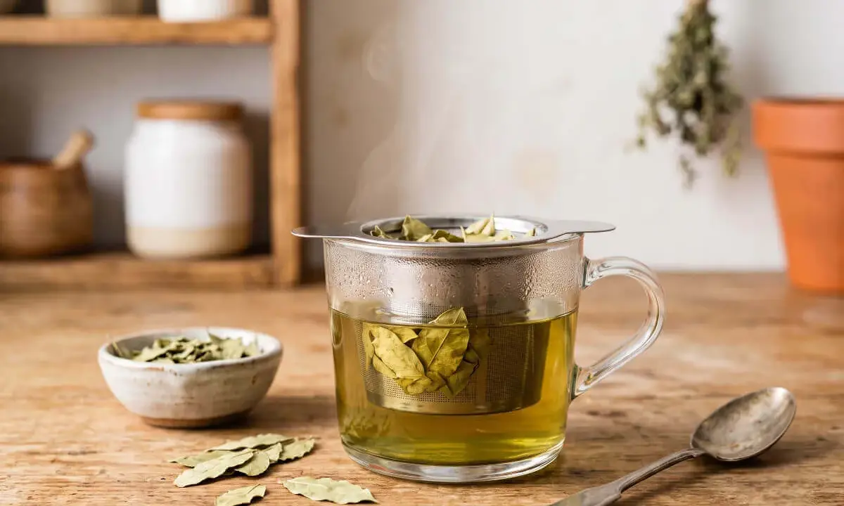 Infusion de feuille de séné, danger potentiel pour la santé. Une tasse de thé fumant avec des feuilles dans un infuseur, à côté d'un bol de feuilles séchées et d'une cuillère.