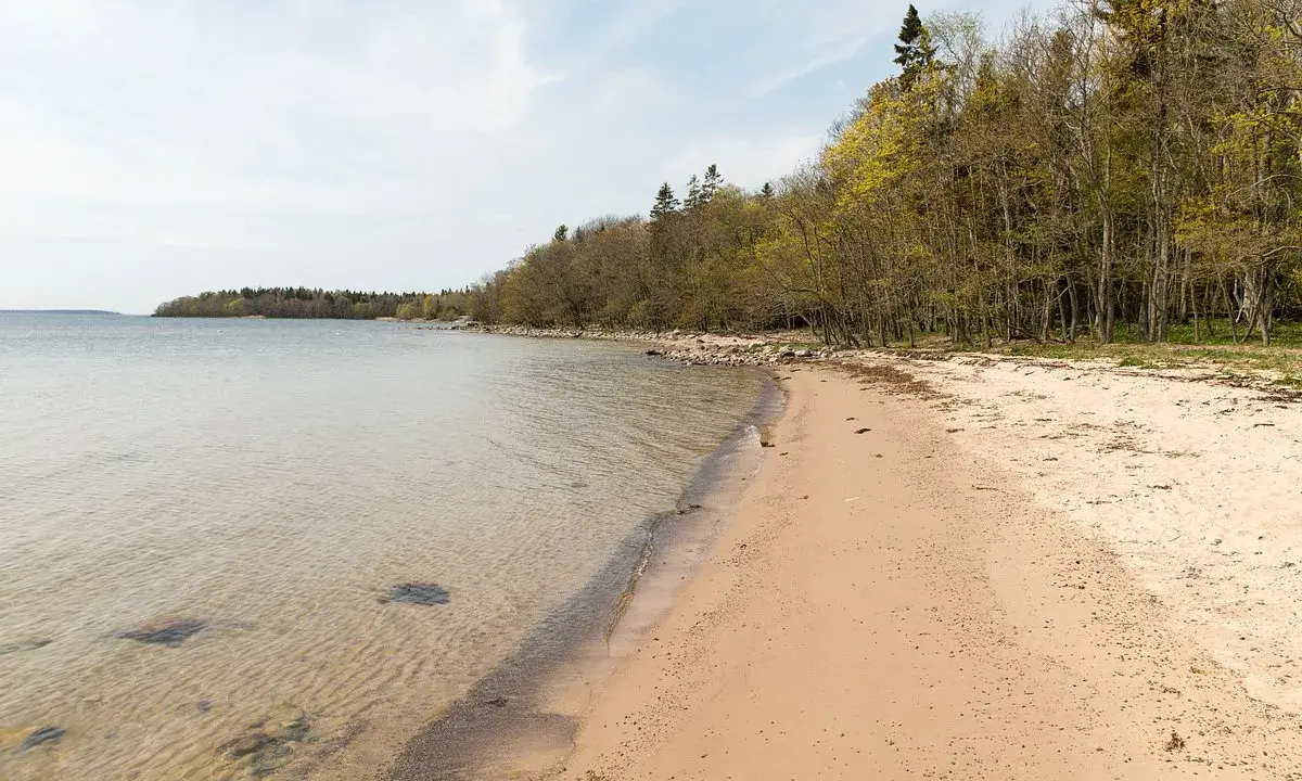 En sandstrand vid Riddersholms naturreservat med klart vatten och en lummig skogskant.