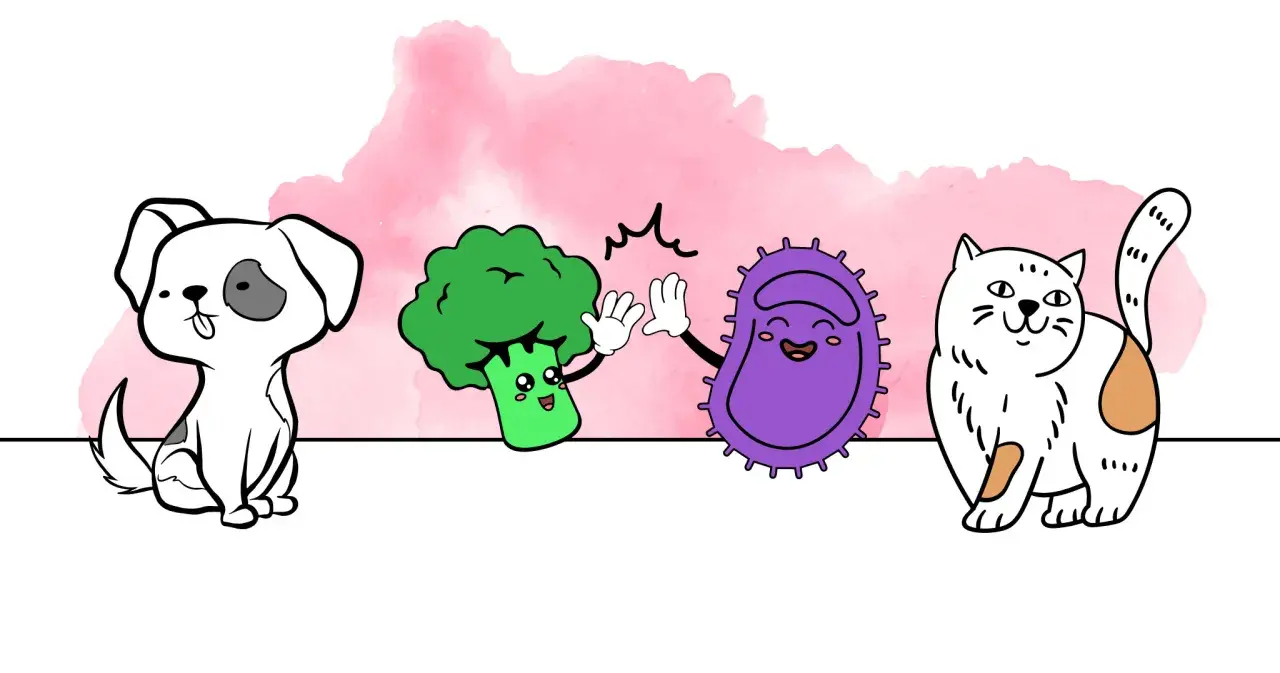 Un chien, un brocoli et une bactérie s'amusent. Peut-on donner des probiotiques humains à un chien ?