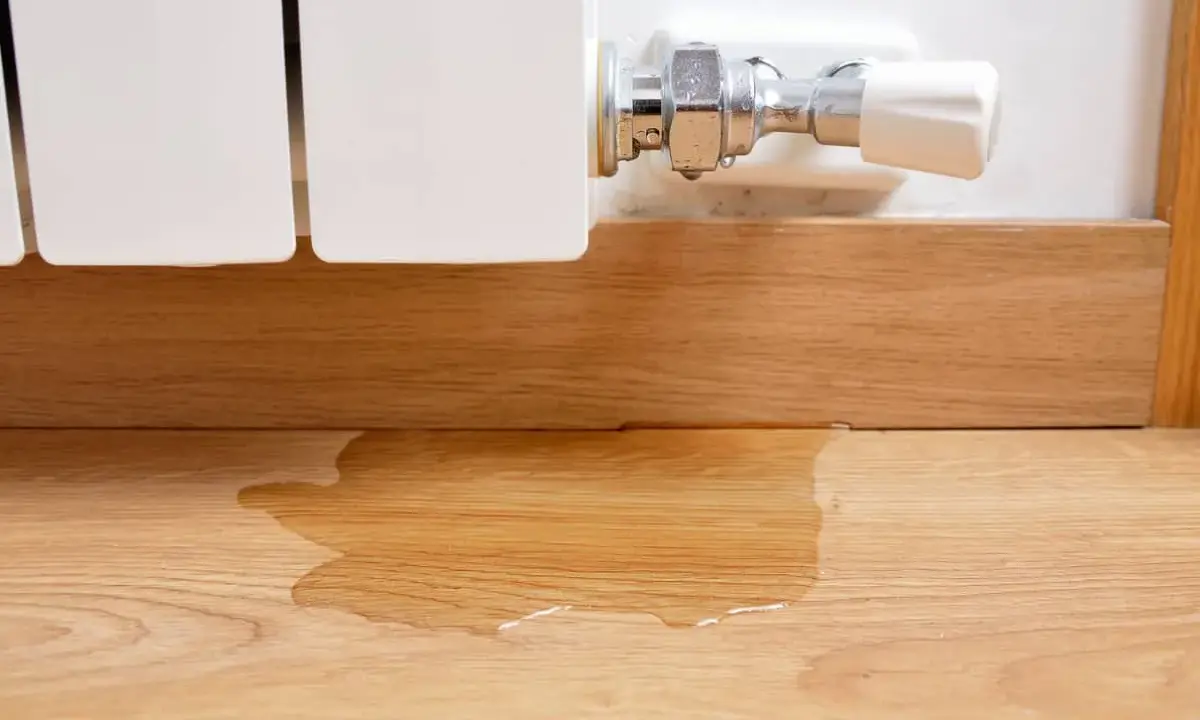La caldera pierde presión y no hay fugas visibles, pero hay agua en el suelo de madera.