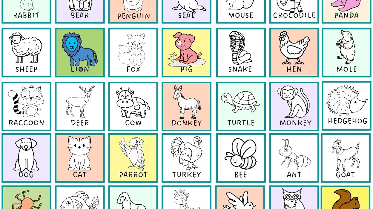 Kolorowanki po angielsku do wydruku z uroczymi zwierzątkami: królik, miś, pingwin, foka, mysz, krokodyl, panda, owca, lew, lis, świnka, wąż, kura, kret, szop, jeleń, krowa, osioł, żółw, małpa, jeż, pies, kot, papuga, indyk, pszczoła, mrówka, koza, pają...