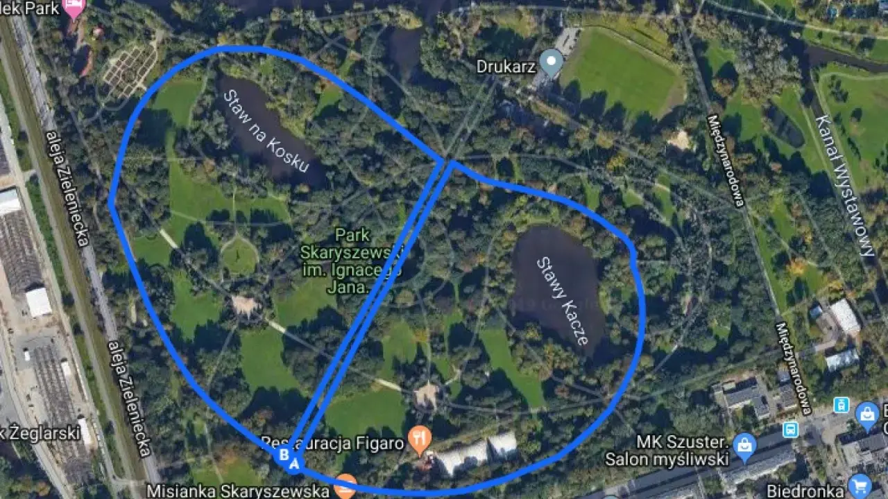 Mapa Parku Skaryszewskiego w Warszawie, idealne miejsce, gdzie biegać w Warszawie, z zaznaczonymi stawami i alejkami.