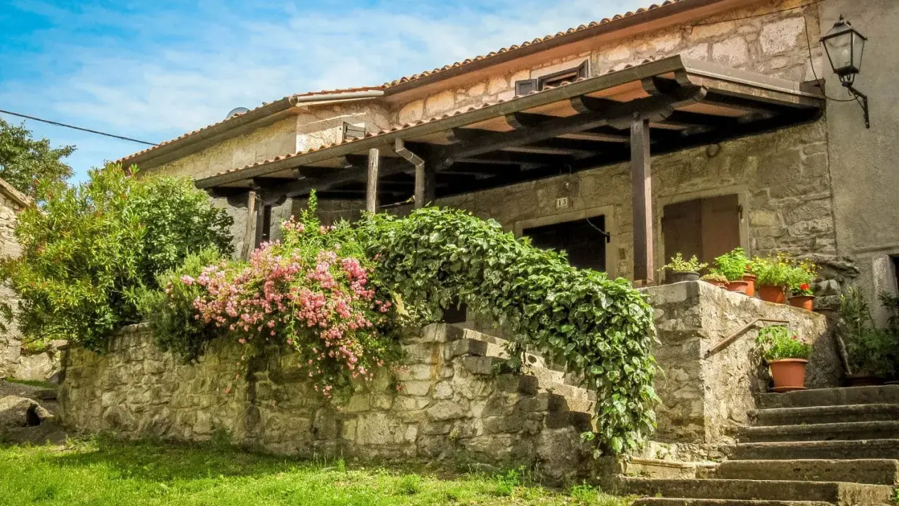 Steinhaus mit blühenden Rosen und Efeu in einem malerischen Dorf in Hum, Kroatien.