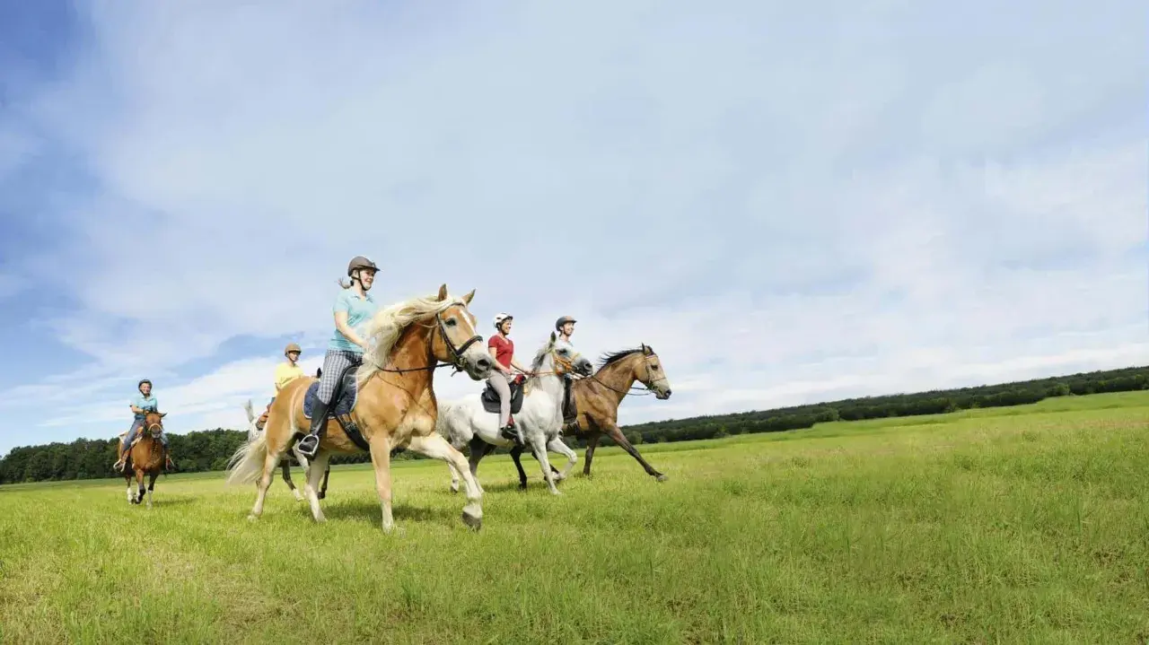 Vier Reiter genießen das trail reiten auf ihren Pferden über eine grüne Wiese unter blauem Himmel.
