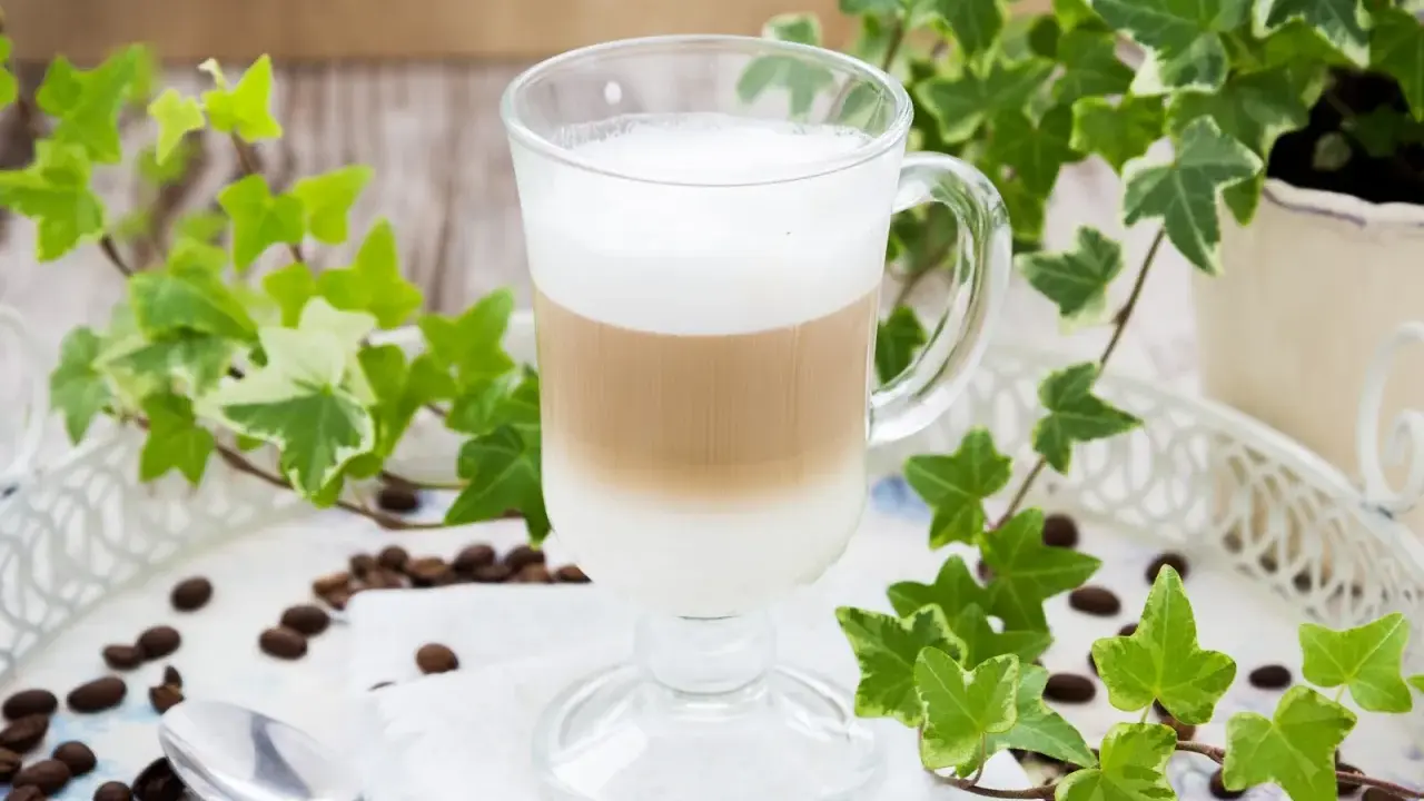 Jak zrobić latte? Warstwowy napój kawowy w szklance, otoczony bluszczem i ziarnami kawy.