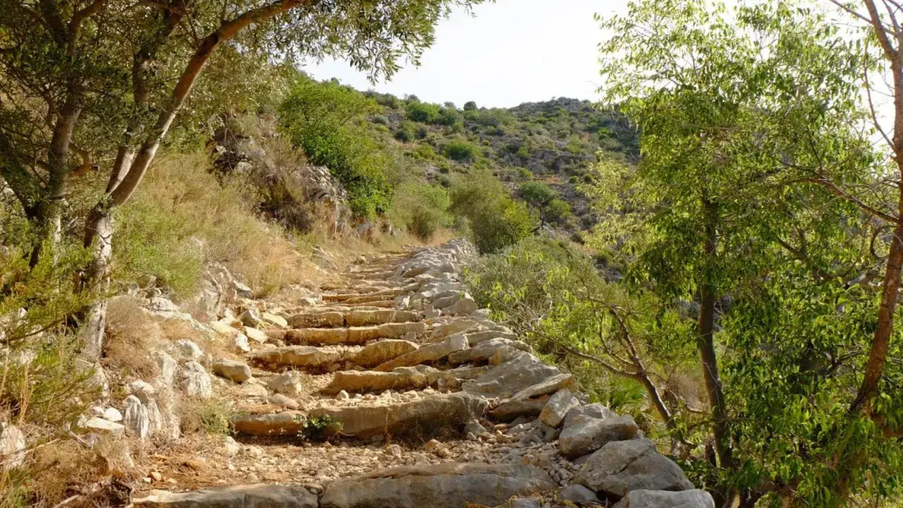 Sendero de piedra en ascenso, rodeado de vegetación mediterránea. Un camino ideal para rutas senderismo Alicante.