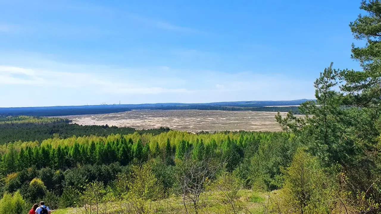 Pustynia Błędowska rozciąga się pod błękitnym niebem, otoczona zielonymi lasami. Dwie osoby siedzą na wzgórzu, podziwiając krajobraz.