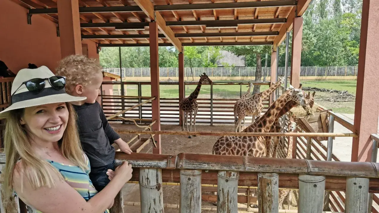 Rodzina w zoo, karmiąca żyrafy. Węgry, gdzie jechać na wakacje z dziećmi? Zoo w Budapeszcie to świetny pomysł!