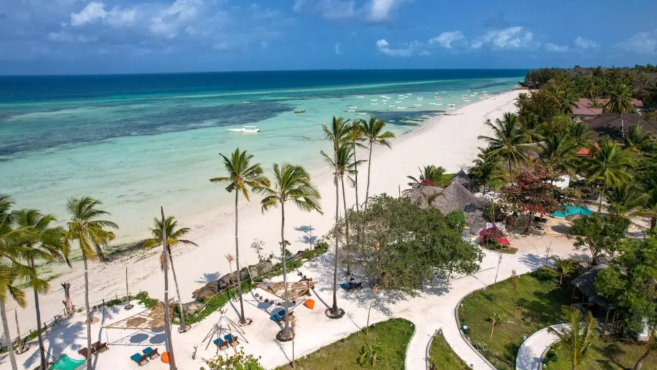 Plaża na Zanzibarze z palmami, turkusową wodą i łodziami.