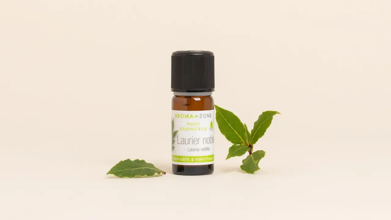 Flacon d'huile essentielle de laurier noble, entouré de feuilles fraîches. Un trésor purifiant et fortifiant.