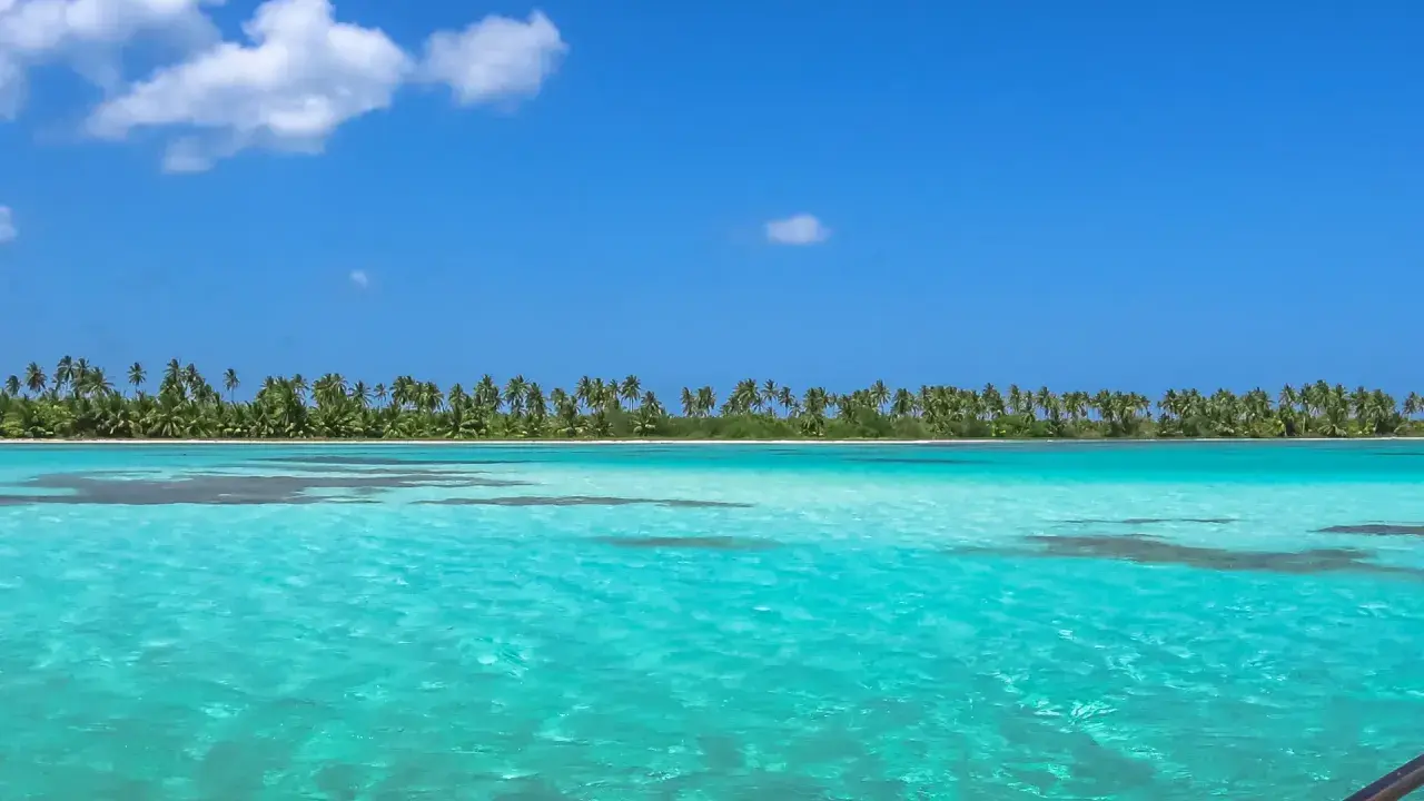 Turkusowe wody i palmy tworzą rajski widok. Czy to Puerto Plata czy Punta Cana? Trudno wybrać!